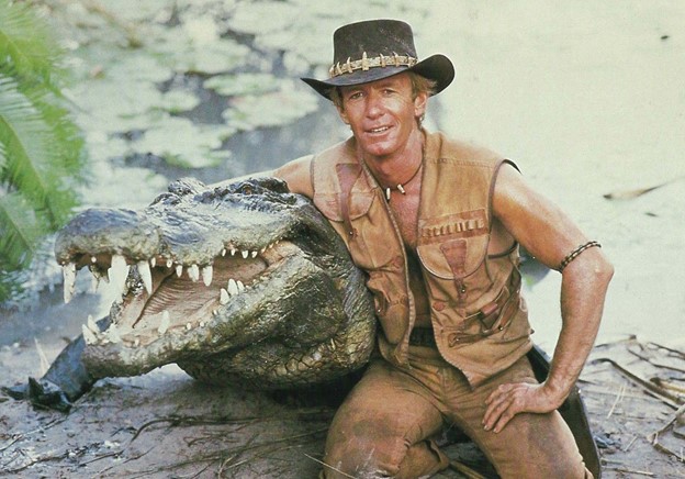 *AE Business Solutions makes no warrantees, explicit or implied, as to the ability to pull off a tooth-lined outback hat or ability to wrestle crocodiles of any employees*